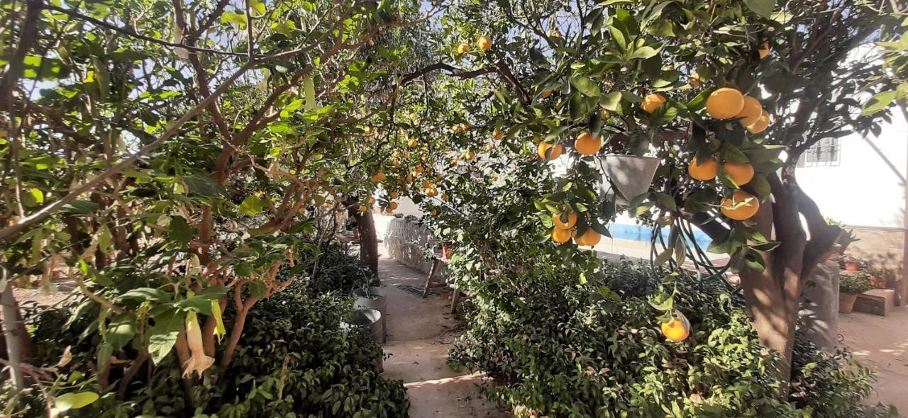 Cortijo Ferre, A Los Pies Del Castillo La Atalaya De Нихар Экстерьер фото
