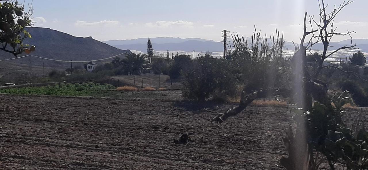 Cortijo Ferre, A Los Pies Del Castillo La Atalaya De Нихар Экстерьер фото