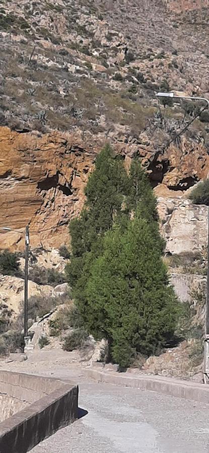 Cortijo Ferre, A Los Pies Del Castillo La Atalaya De Нихар Экстерьер фото