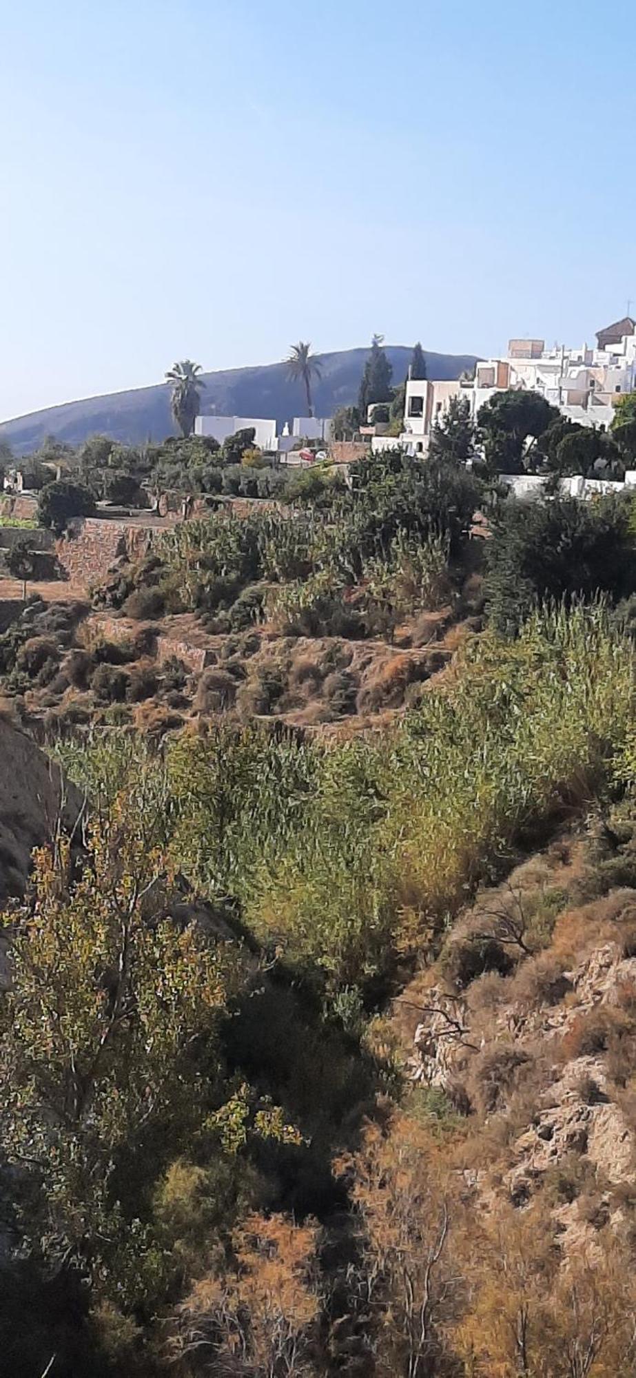 Cortijo Ferre, A Los Pies Del Castillo La Atalaya De Нихар Экстерьер фото
